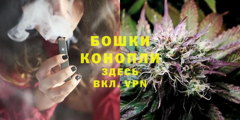 мега маркетплейс  где продают наркотики  Гороховец  Канабис LSD WEED 